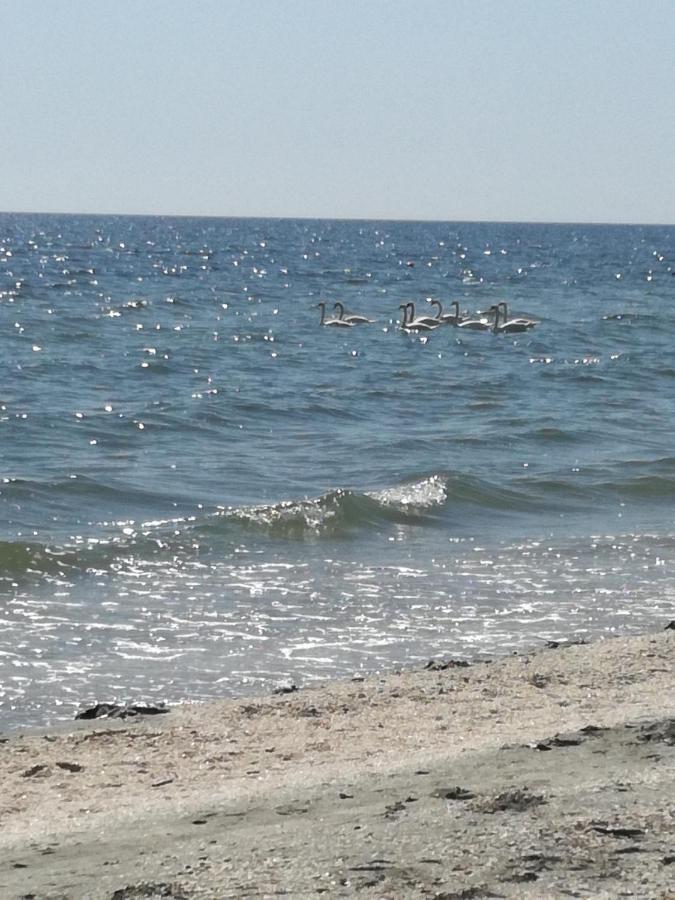 Mamaia Summerland Mrs מראה חיצוני תמונה